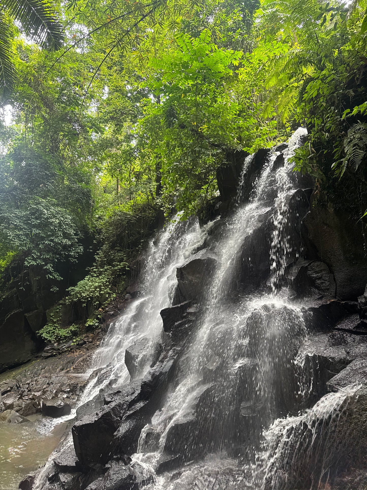 Downhill Biking Adventure in Bali – Scenic Ride, Food & Waterfall Visit