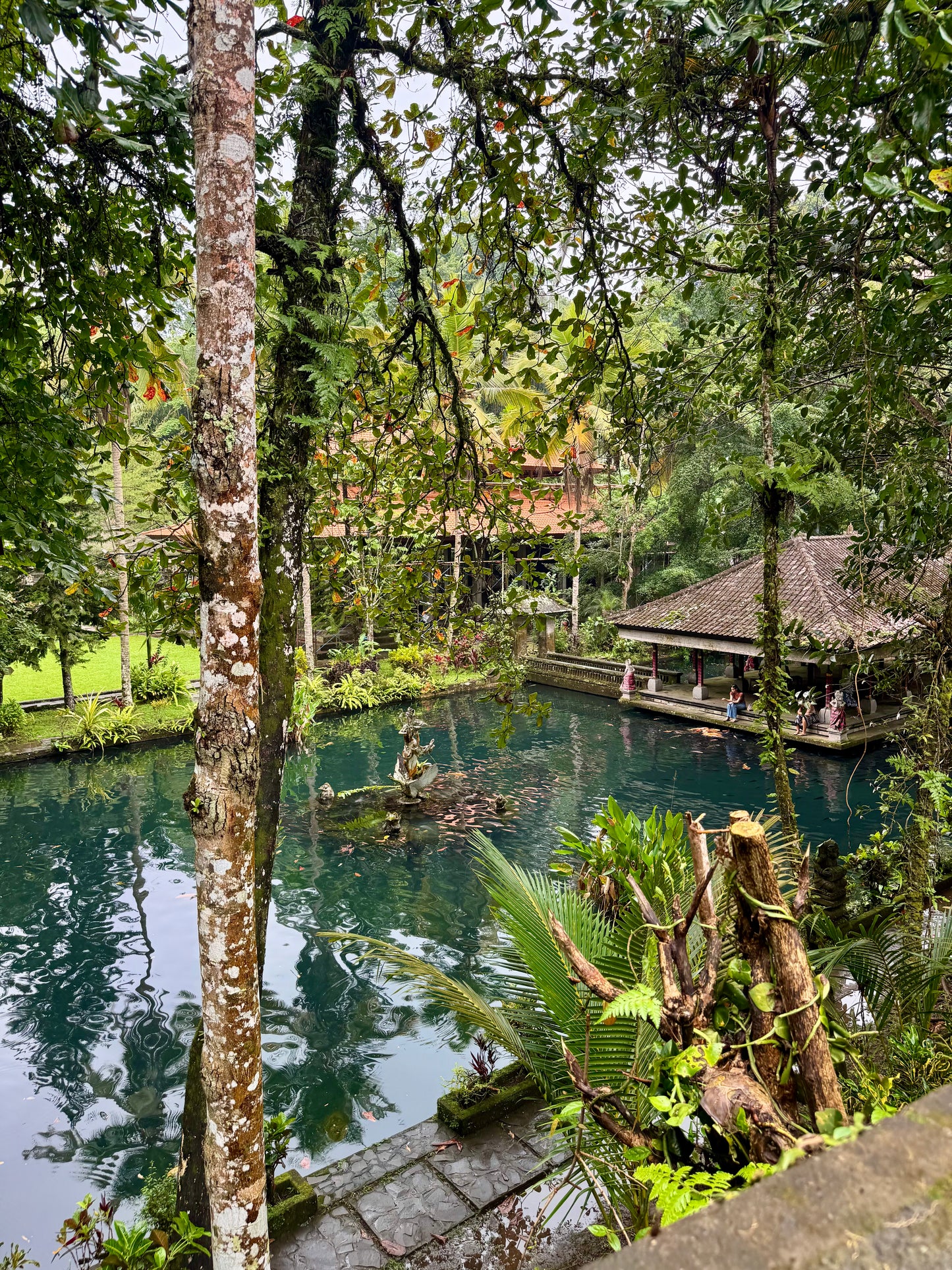 Melukat: A Traditional Balinese Water Blessing