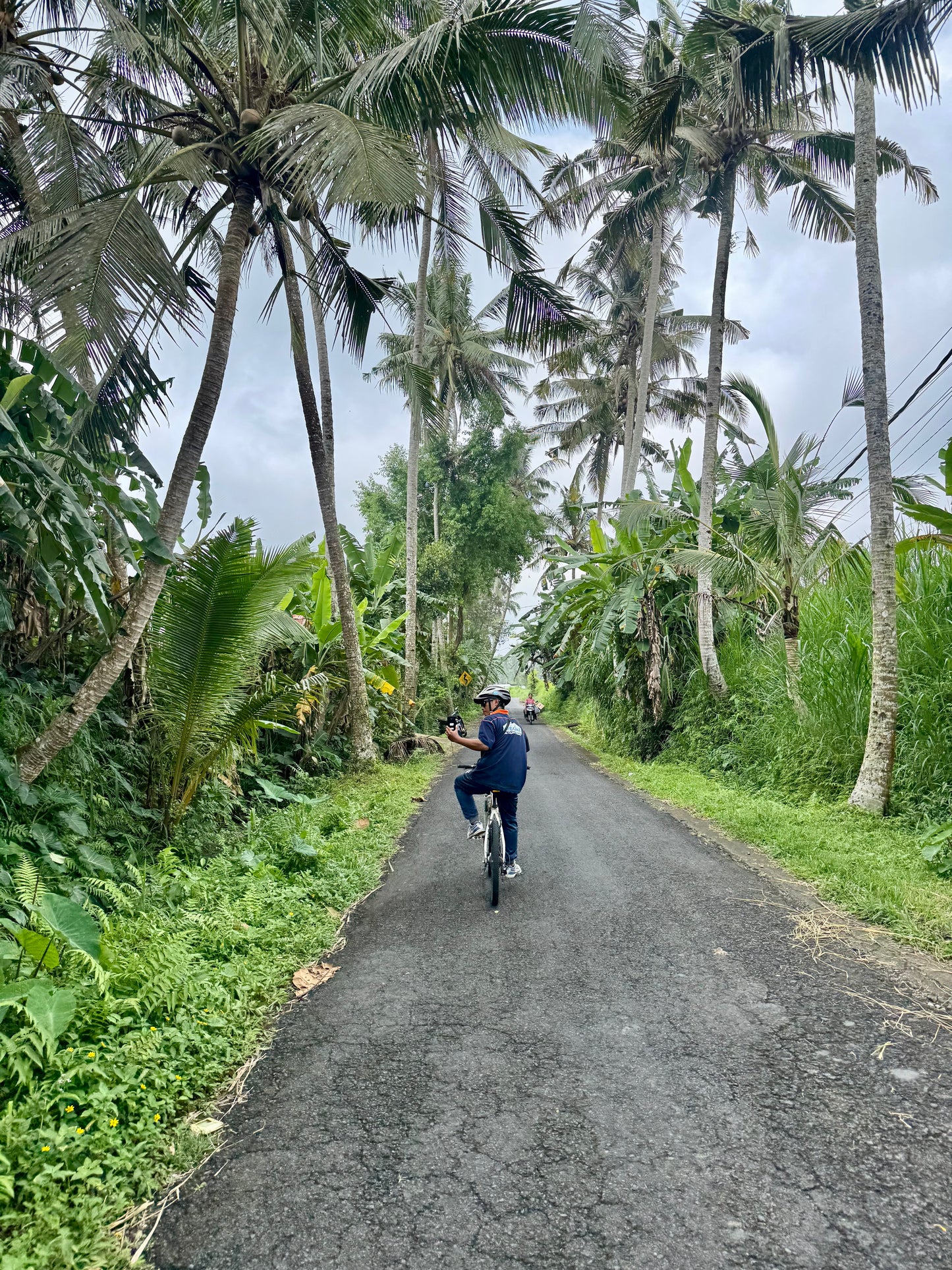 Downhill Biking Adventure in Bali – Scenic Ride, Food & Waterfall Visit