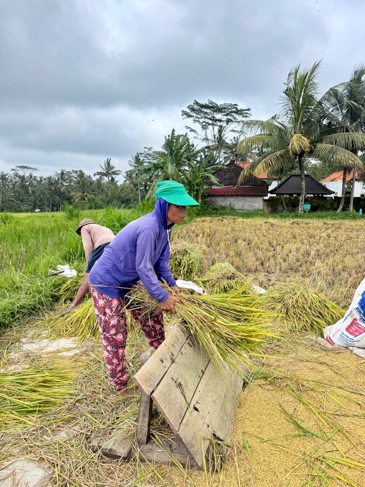 Downhill Biking Adventure in Bali – Scenic Ride, Food & Waterfall Visit