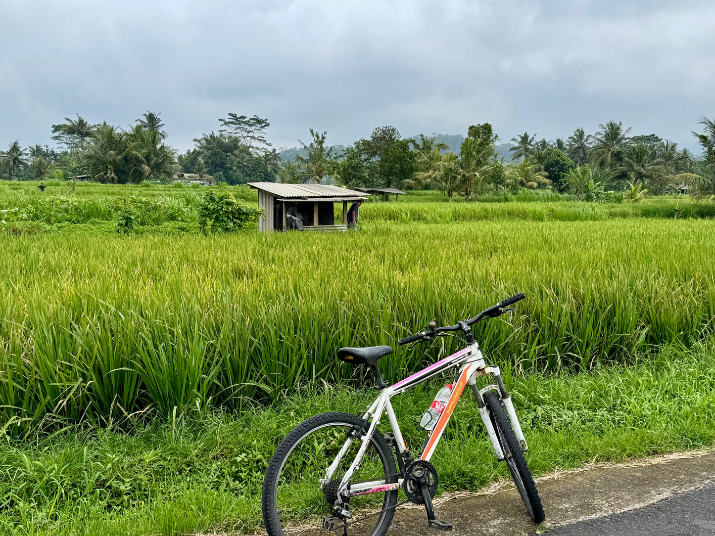 Downhill Biking Adventure in Bali – Scenic Ride, Food & Waterfall Visit