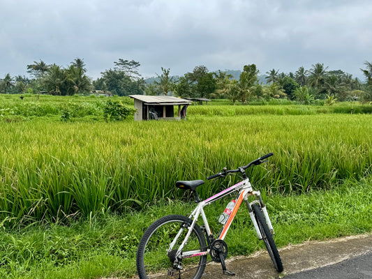 Downhill Biking Adventure in Bali – Scenic Ride, Food & Waterfall Visit